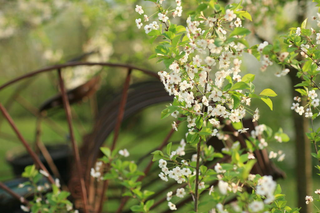 Malvarina Capodacqua  ภายนอก รูปภาพ